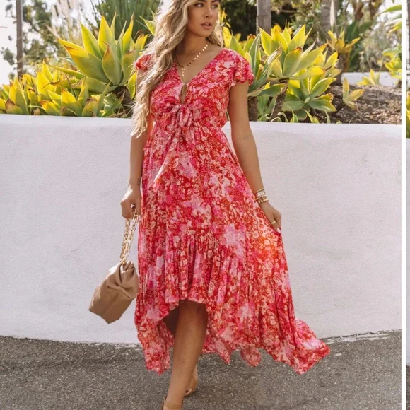 chinese dress ladies Belladonna Maxi Dress in Cottage Witch Toile Print